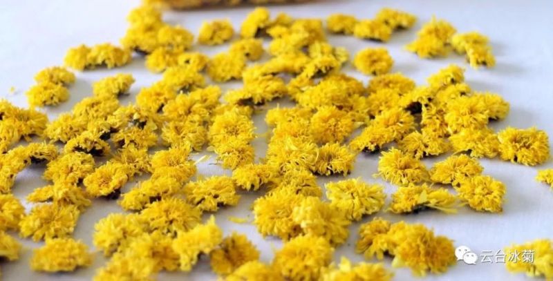 2018，種下希望，靜待花開！